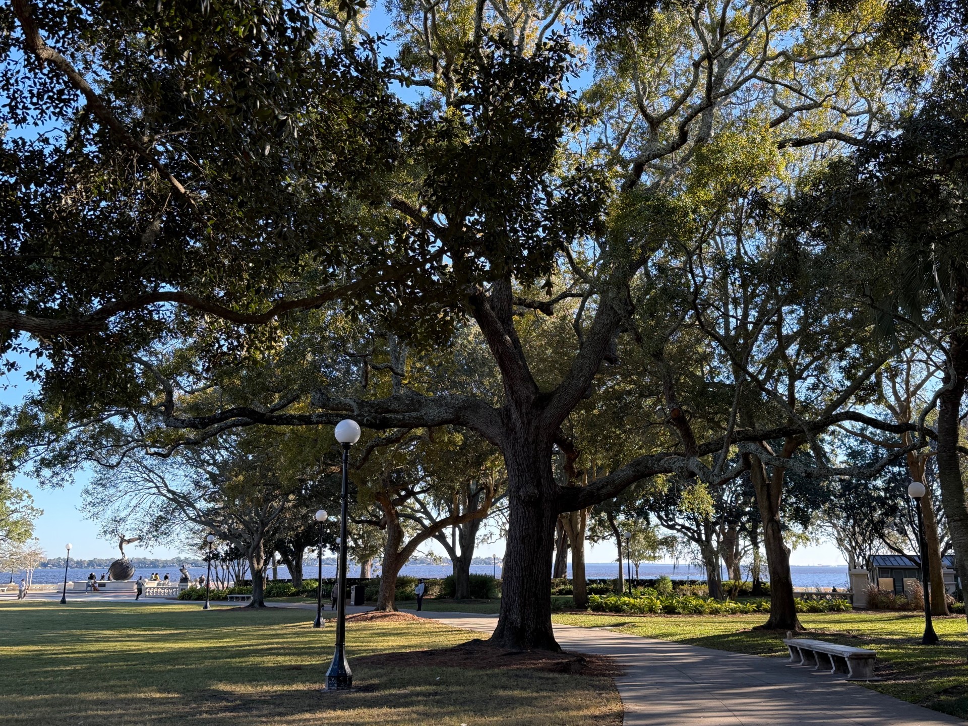 Large oak tree with a lamp post to the left, a sidewalk to the right with a stone bench, and the sidewalk leads to the back of the park where a fountain statue with a person is standing on the world and the St. Johns River is in the background at Riverside Park, in Jacksonville, FL.